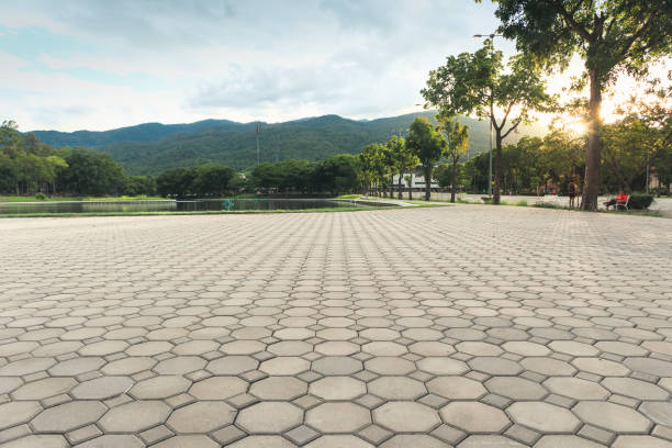 Best Custom Driveway Pavers  in Victoria, MN