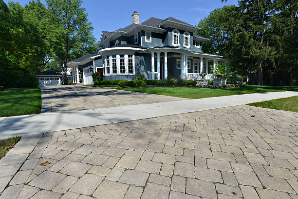 Best Driveway Paving Contractor  in Victoria, MN